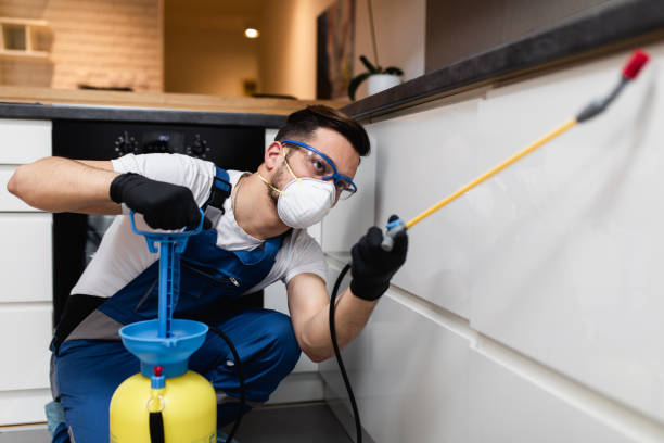 Best Residential Pest Control  in Stamford, TX