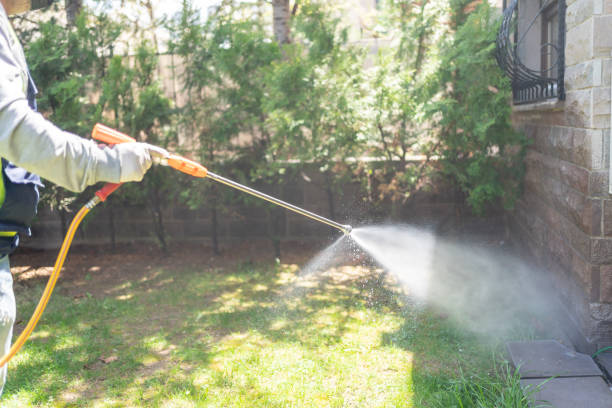Best Affordable Pest Control Services  in Stamford, TX