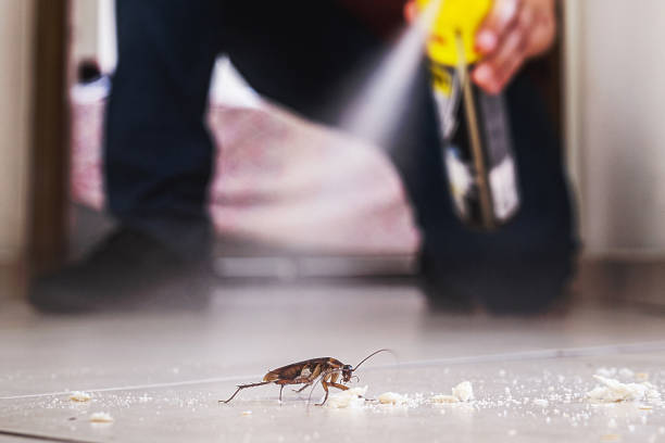 Best Pest Removal Services  in Stamford, TX