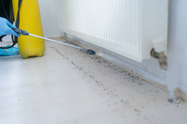 Stamford, TX Pest Control Company