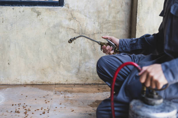 Best Emergency Pest Control  in Stamford, TX